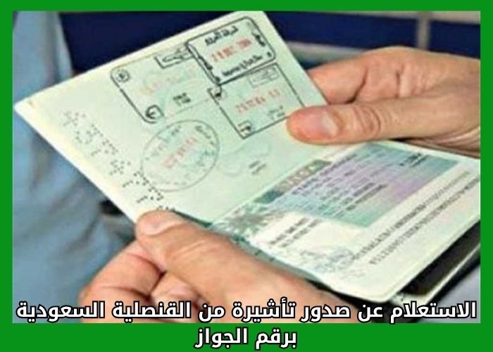 الاستعلام عن صدور تأشيرة من القنصلية السعودية برقم الجواز