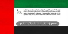 سعر زيارة الإمارات 3 شهور