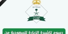 رسوم تاشيرة الزيارة للسعودية من مصر