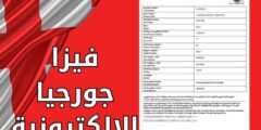 فيزا جورجيا الالكترونية